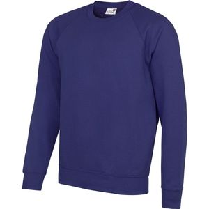 Awdis Academie Herenbemanning Hals Raglan Sweatshirt (Paars)