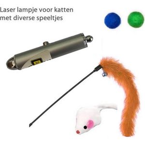 Katten Laser - Lampje voor de Kat - met hanger - Katten / Honden Laserlamp - Mini - Sleutelhanger & diverse speeltjes type 4