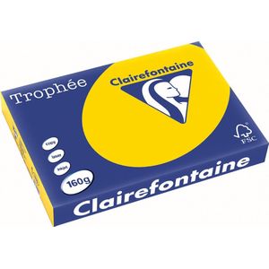 Clairefontaine - Goudgeel - Gekleurd Papier - A3 - 250 Vellen - 160 g/m²