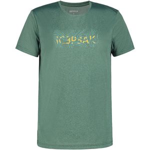 Icepeak Bearden T-shirt Met Korte Mouwen Groen S Man