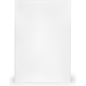 BEV™- EL infrarood verwarmingspaneel met fijne poedercaoting 350W met RF ontvanger