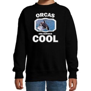 Dieren orka walvissen sweater zwart kinderen - orcas are serious cool trui jongens/ meisjes - cadeau grote orka/ orka walvissen liefhebber - kinderkleding / kleding 110/116