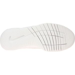 Nike Flex Experience RN 12 Light Iron Re/White