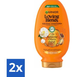 2 x Garnier Loving Blends Argan- en Cameliaolie Conditioner 250 ml - Haar Conditioner - Droog Haar - Dof Haar - Argan Olie - Camelia Olie