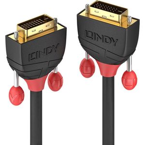 LINDY 36251 DVI-kabel DVI Aansluitkabel DVI-D 24+1-polige stekker, DVI-D 24+1-polige stekker 1.00 m Zwart