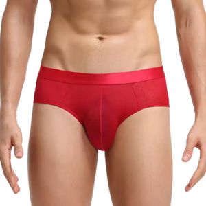 Heren Slip Transparant - Slip Doorzichtig Rood - Sexy Mesh Design - Mannen Onderbroek - Lingerie Voor Mannen - Ondergoed Maat XXXL / 3XL