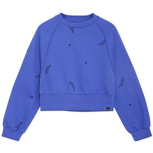 Indian Blue Jeans - Sweater Raglan - Amparo Blue