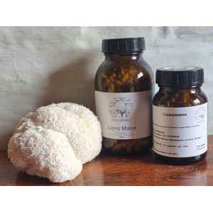 Lion's mane Capsules 120 stuks - biologisch en lokaal - ENERGIE, FOCUS EN HELDERHEID - 400mg