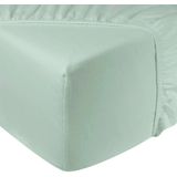 DoubleDry - Hoeslaken - Flanel - Mint - Tweepersoons 180x200 cm - Rondom Elastiek