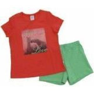 Sanetta Pyjamaset van broek met T-shirt - Roze/Groen - Maat - 104