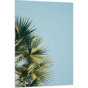 WallClassics - Vlag - Palmbomen met Blauwe Lucht - 80x120 cm Foto op Polyester Vlag