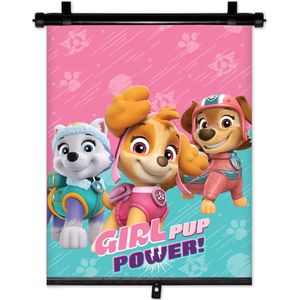 Nickelodeon Paw Patrol Zonnescherm Rolgordijn 36x45 Cm Roze