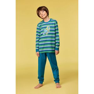 Woody pyjama jongens/heren - multicolor gestreept - duif - 252-10-PLC-S/912 - maat 92