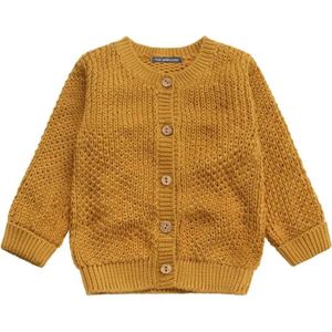 Your Wishes Knit Vest Ochre - Vestje - Knit - Geel - Baby - Unisex - Maat: 98/104