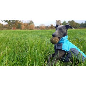 Regenjas Hond - Hondenjasjes Voor Hondjes- Winterjas - Waterdicht - Reflecterend - Afwasbaar - Kleur : Blauw - Maat : Small