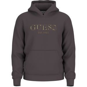 Guess - Basic Hoodie - Grijs - Sweatshirt