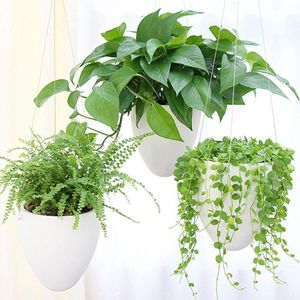 3-pack zelfbewaterende hangende plantenbak succulente bloempot - luchtplantenhouder - unieke eierschaal - hangende sappige bloempotten - huis tuin kantoor - binnen decoratieve container mat wit