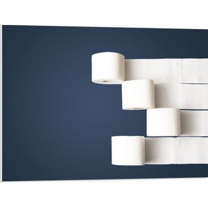 PVC Schuimplaat - Witte Uigerolde Toiletrollen op Blauwe Achtergrond - 80x60 cm Foto op PVC Schuimplaat (Met Ophangsysteem)