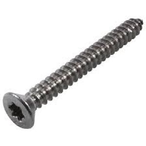 Plaatschroef rvs a4 6,3x25 mm torx platkop din7982 ( a 200 st )