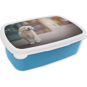 Broodtrommel Blauw - Lunchbox - Brooddoos - Een Golden Retriever puppy lopend op de stoep - 18x12x6 cm - Kinderen - Jongen