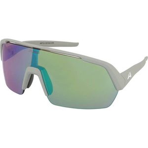 Zonnebrillen Alpina Turbo HR Smoke Grey Matt