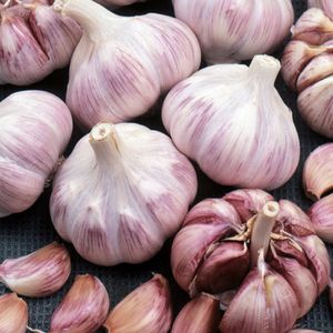 Bloomique - 3 Stuks - Roze Knoflook - Speciaal geselecteerd voor eigen kweek - Moestuin - Winterhard - Meerjarig
