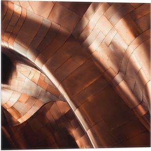 WallClassics - Vlag - Bronzen Platen - 50x50 cm Foto op Polyester Vlag