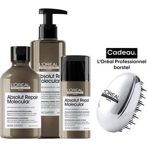 L'Oréal Professionnel Absolut Repair Molecular Bundel + cadeau - Shampoo 300ml, Masker 250ml, Leave-in 100ml en haarborstel cadeau - Voordeelverpakking