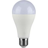 A65 LED-lamp - Koudwit - 1710 Lumen - E27 Fitting - Niet Dimbaar