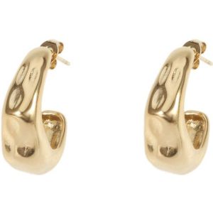 The Jewellery Club - Lily earrings gold - Oorbellen - Dames oorbellen - Stainless steel - Goud - 2 cm