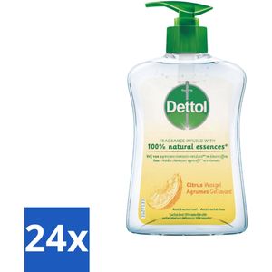 Dettol - Handzeep - Antibacterieel - 100% Natuurlijke Oliën - Citrus - 250 ml - Voordeelverpakking - 24 stuks