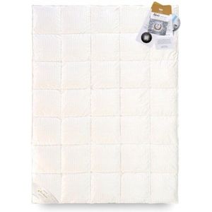 Luxe Ganzendons Dekbed 200x220cm - Zilver Crème, Anti-allergisch