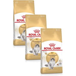 Royal Canin Norwegian Forest Cat Adult - Kattenvoer - 3 x 2 kg