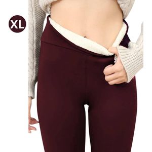 Nivard Winter Panty - Warme panty - Fleece Panty - Thermo Panty - Legging - Stretch - Dames Kleding - Rood - Maat M