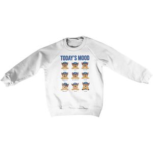 Paw Patrol Kinder Today's Mood Kids Sweatshirt NIC-31-PP006-DTF537 White-4 Jahre