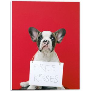Forex - Bulldog op Rode Achtergrond met ''Free Kisses'' Bord - 30x40cm Foto op Forex