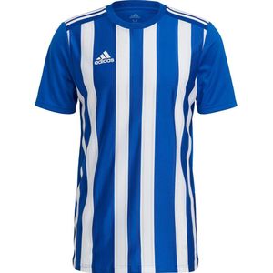 Adidas Striped 21 Shirt Korte Mouw Heren - Royal / Wit | Maat: 2XL