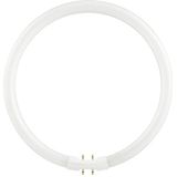 SPL - FL Circline T5 - 22W - 3000K - 2Gx13 Fitting