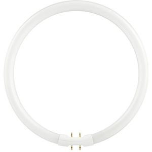 SPL - FL Circline T5 - 22W - 3000K - 2Gx13 Fitting