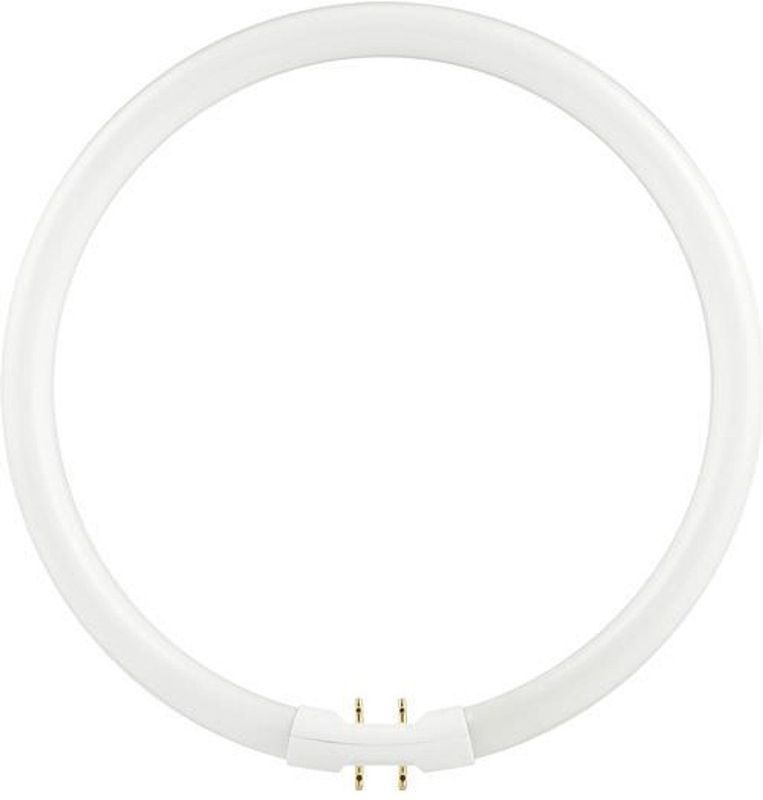 SPL - FL Circline T5 - 22W - 3000K - 2Gx13 Fitting