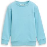 Tom Tailor Basic sweatshirt met print