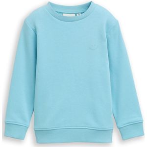 Tom Tailor Basic sweatshirt met print