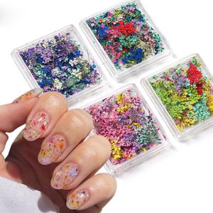 4 Boxes 3D Nail Art Stickers met Dried Flowers - Kleurrijke Dried Flowers voor Nails Kit - DIY Mini Mix Petals Nail Stickers en Natuurlijke Bloemen Dried Flowers
