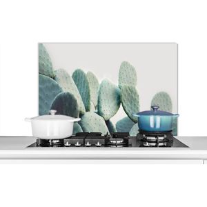 Spatscherm keuken 80x55 cm - Kookplaat achterwand Cactus - Groen - Plant - Natuur - Muurbeschermer - Spatwand fornuis - Hoogwaardig aluminium