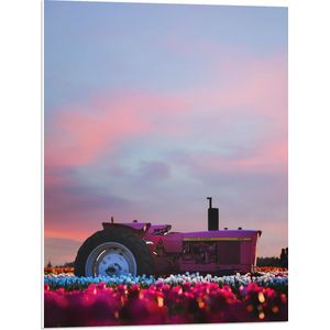 WallClassics - PVC Schuimplaat - Roze Tractor in een Bloemenveld - 60x80 cm Foto op PVC Schuimplaat (Met Ophangsysteem)