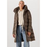 SAVE THE DUCK - LYSA - Winterjas - Bruin