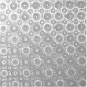 Zelfklevende Raamfolie - Modern Cirkelpatroon - Privacyfolie - 100 x 45 cm - Herbruikbaar en Eenvoudig te Installeren - Zilver