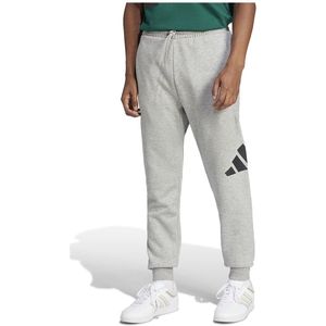 Adidas - Essentials Big Logo - Fleece Joggers - Grijs - Regular Man