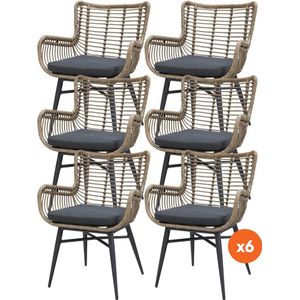 Set van 6 - Jasmine dining tuinstoel - Naturel