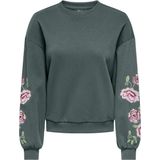 ONLY Sweatshirt 'ONLBROOKLYN'  spar / lichtgroen / rosa / wijnrood